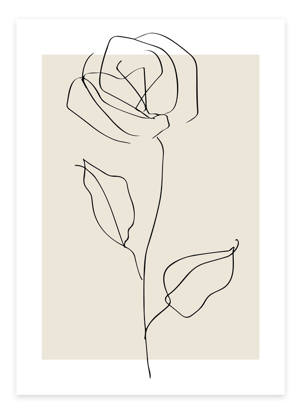 Botanisk Rose Plakat